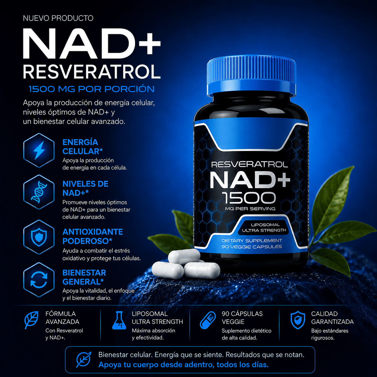 FOCUS NAD+ - FOCUSFOCUS
