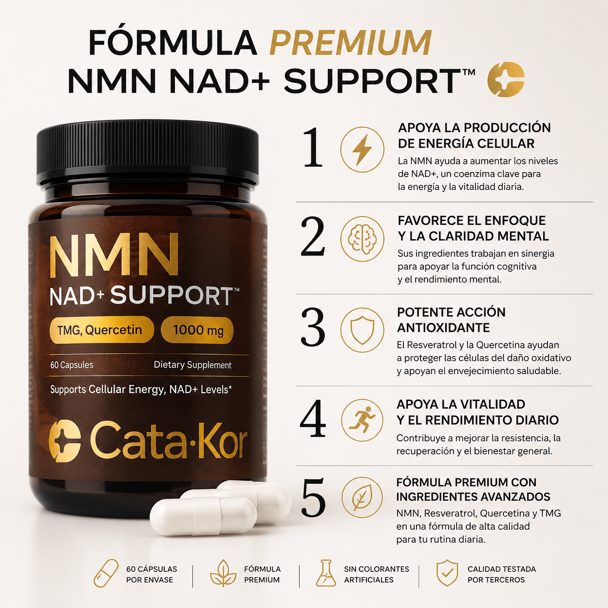 NMN - NAD+SUPPORT 4 en 1 | TMG quercetina - FOCUSFOCUS