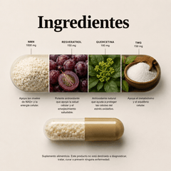 NMN - NAD+SUPPORT 4 en 1 | TMG quercetina - FOCUSFOCUS